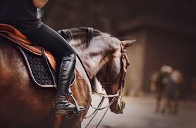 Horse Riding